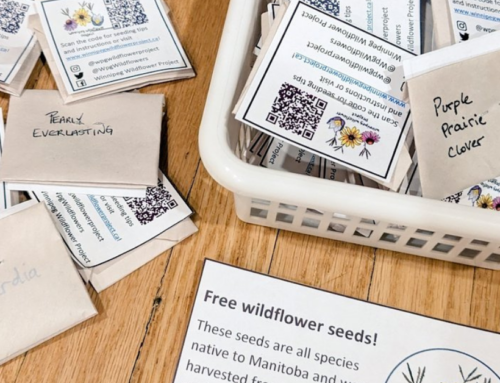 Seed Giveaway By The Winnipeg Wildflower Project