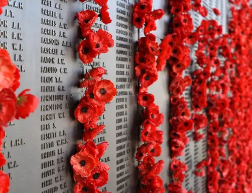 What’s Opened and Closed on Remembrance Day 2025 in Winnipeg