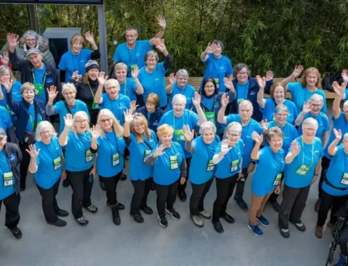 Assiniboine Park Volunteer Opportunities: Get Involved in 2025!