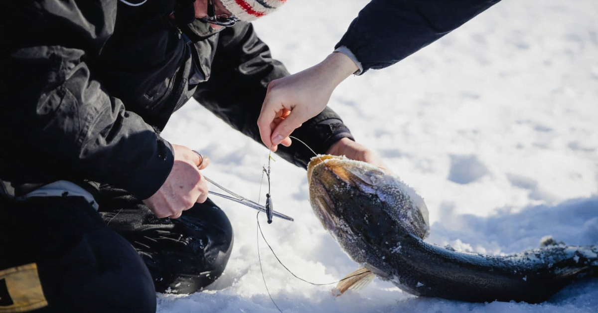 Free Ice Fishing Festival at FortWhyte Alive