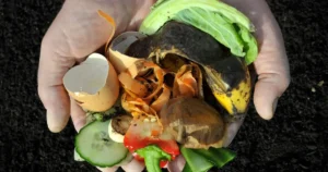 City of Winnipeg Compost Giveaway