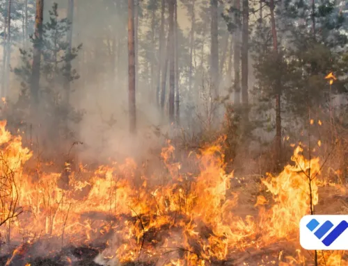 Manitoba Parks Closed Due to Wildfires: What You Need to Know